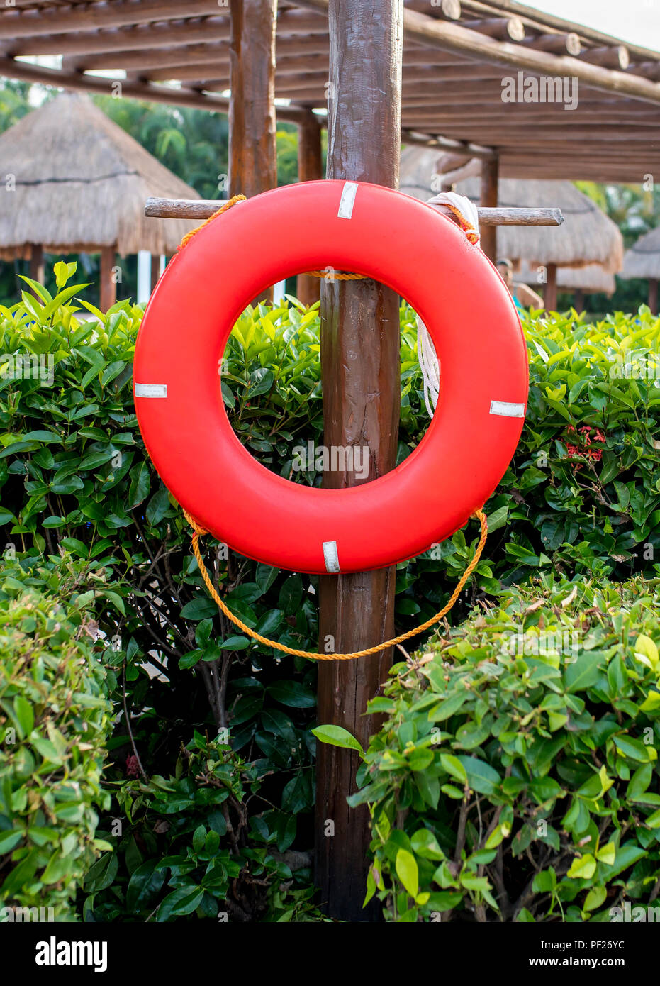 Red Life Ring hing in einem Luxushotel in Mexiko gegen grüne Hecke zum Schutz und zur Rettung der Schwimmer im Pool Stockfoto