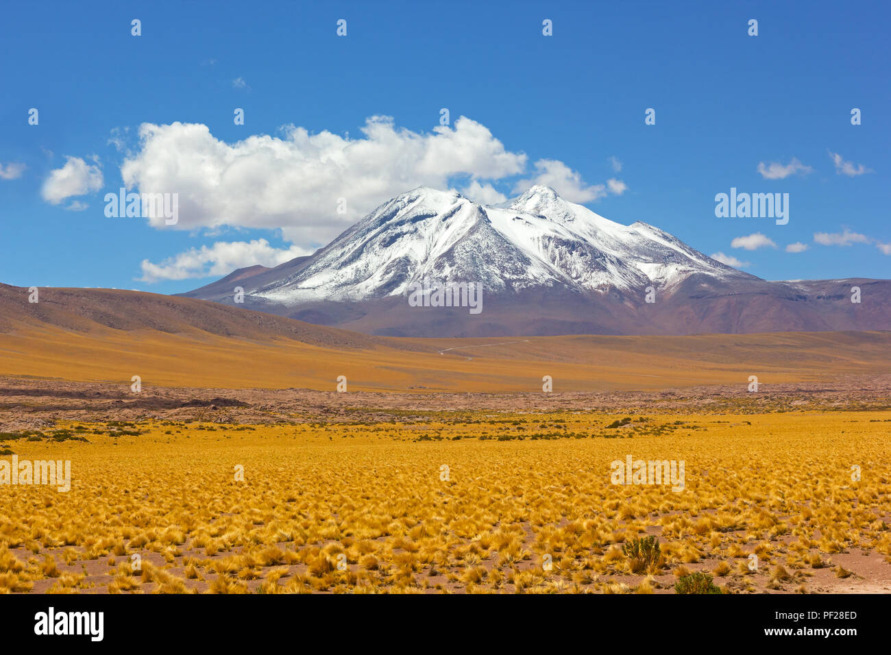 Panoramablick auf die Landschaft mit einem Snow Peak der vulkanische Berge und gelben Gras Felder der Höhenlage Wüste. Stockfoto