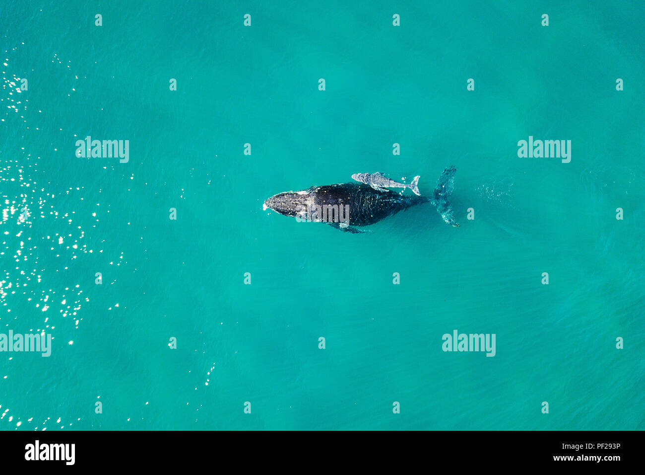 Ein Luftbild von Byron Bay in New South Wales, Australien Stockfoto