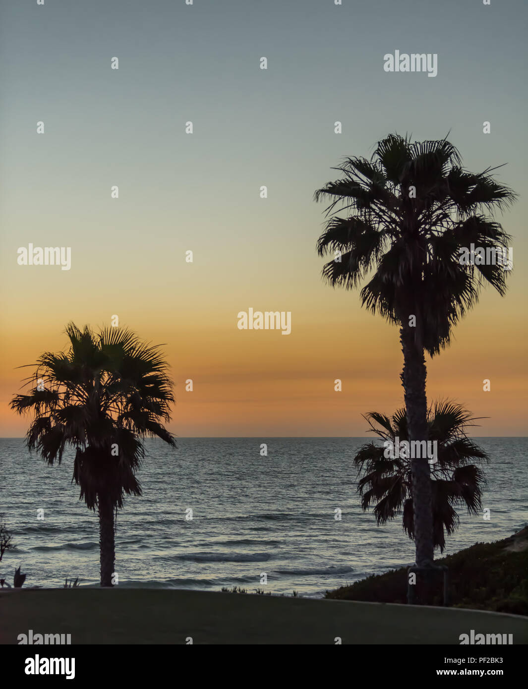 Dämmerung Himmel über dem Pazifischen Ozean mit Palm Tree Silhouette Stockfoto Dämmerung Himmel über dem Pazifischen Ozean mit Palm Tree Silhouette Stockfoto