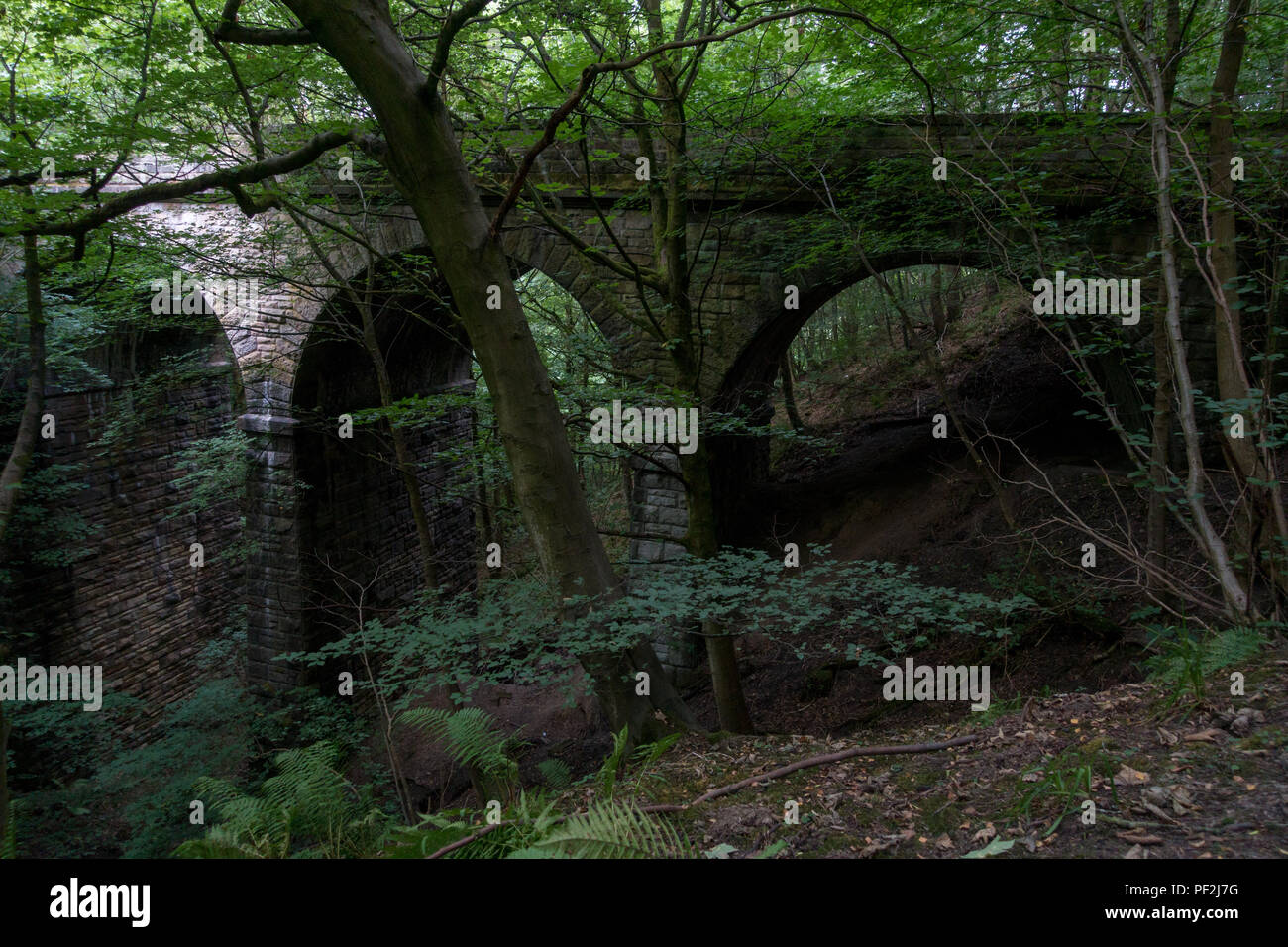 Stillgelegte Lob Ghyll arch Viadukt auf der alten Wharfedale Linie nahe Addingham und Bolton Brücke Stockfoto