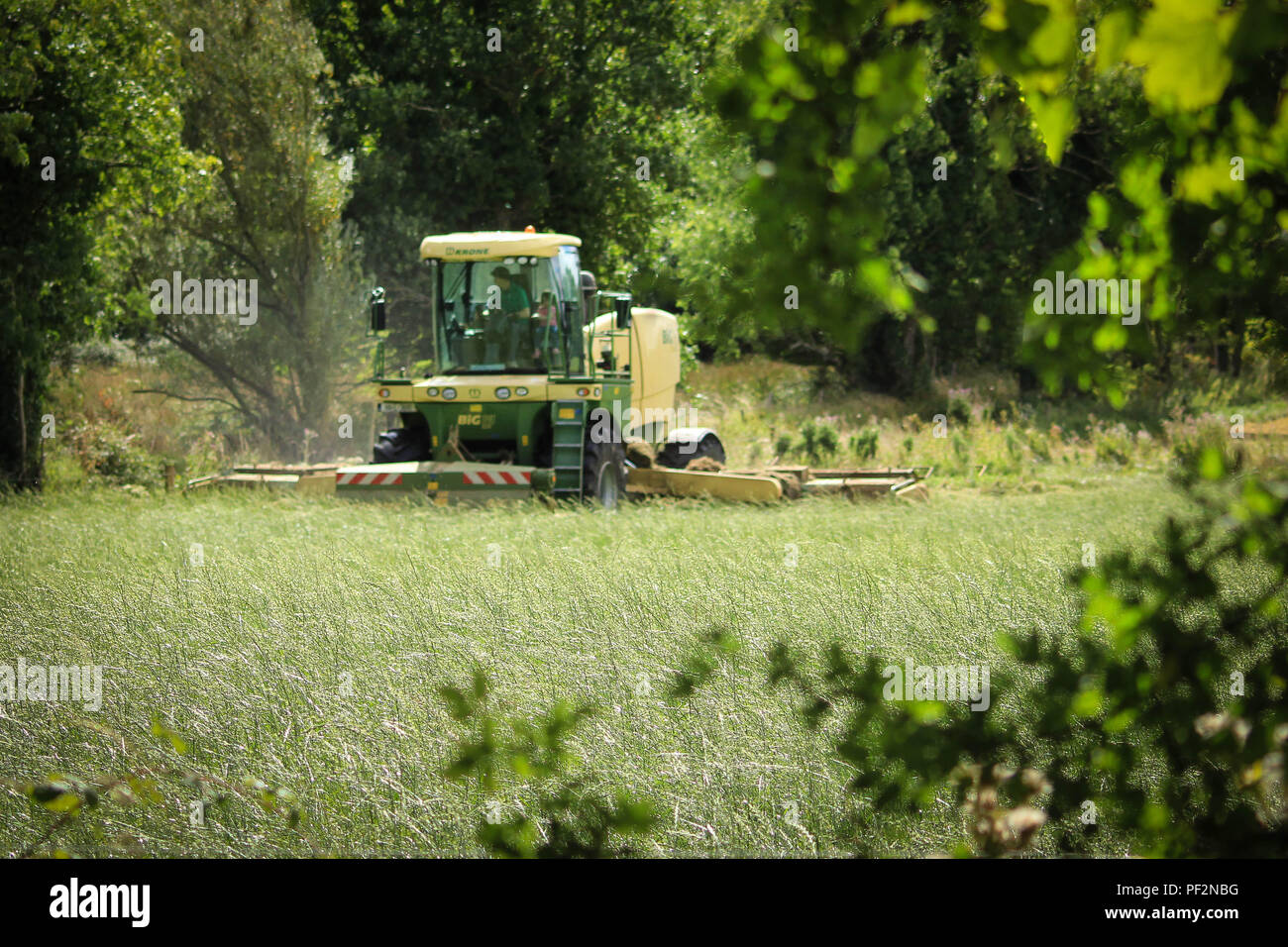 Krone Big M Mähwerk Stockfoto