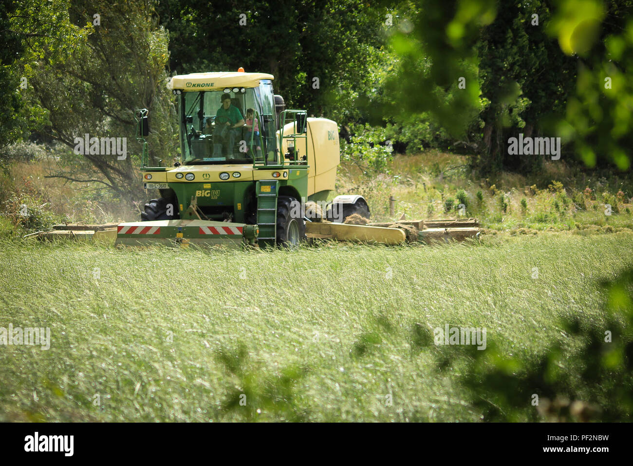 Krone Big M Mähwerk Stockfoto