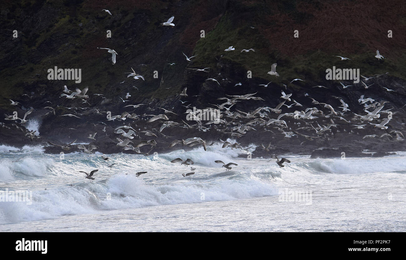 Pentewan Sands, Pentewan, Cornwall, 050218 Stockfoto