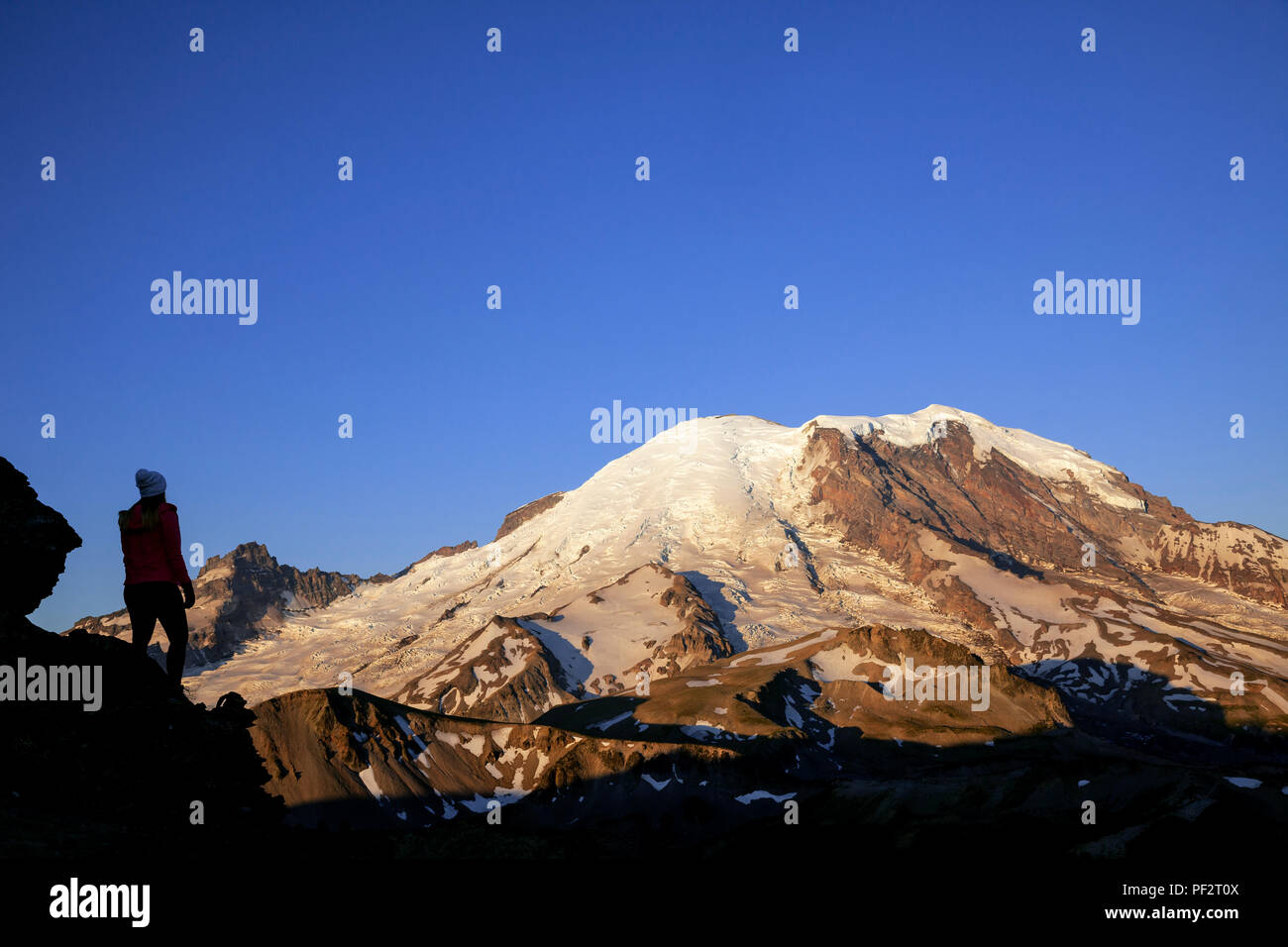 WA 14726-00 ... WASHINGTON - Blick auf den Mount Rainier von Mount Fremount im Mount Rainier National Park. Stockfoto