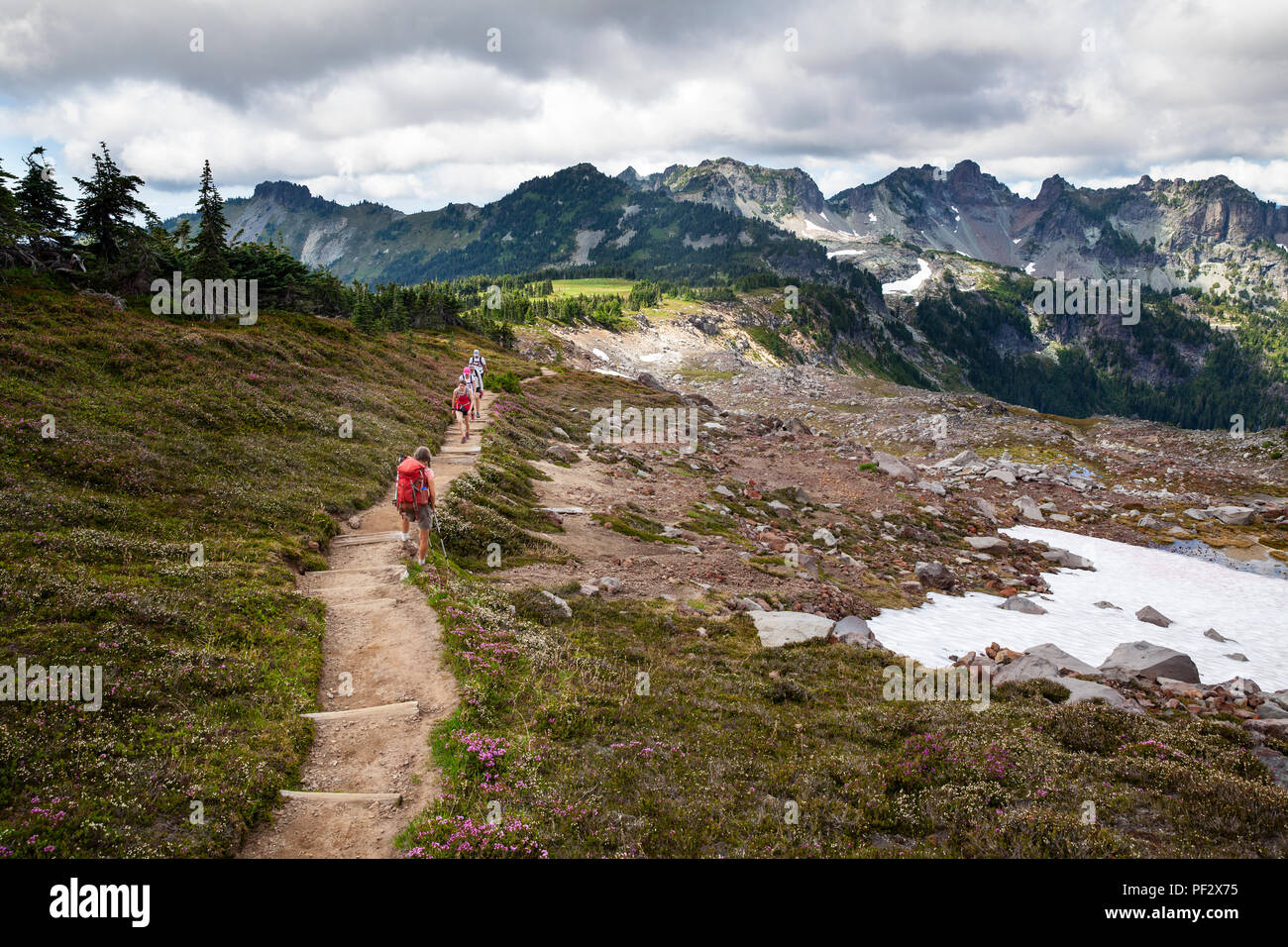 WA 14811-00 ... WASHINGTON - Trail zwischen Seattle Park und Spray Park im Mount Rainier National Park. Stockfoto