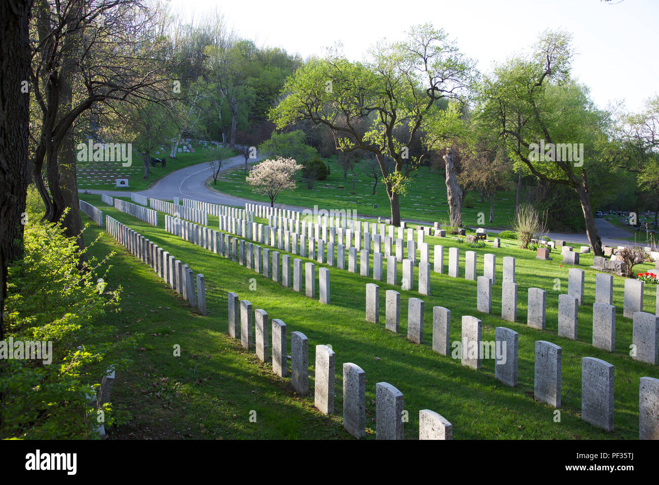 Reihen von Veteranen Kreuze in Mont Royal Friedhof Montreal Quebec Kanada Stockfoto