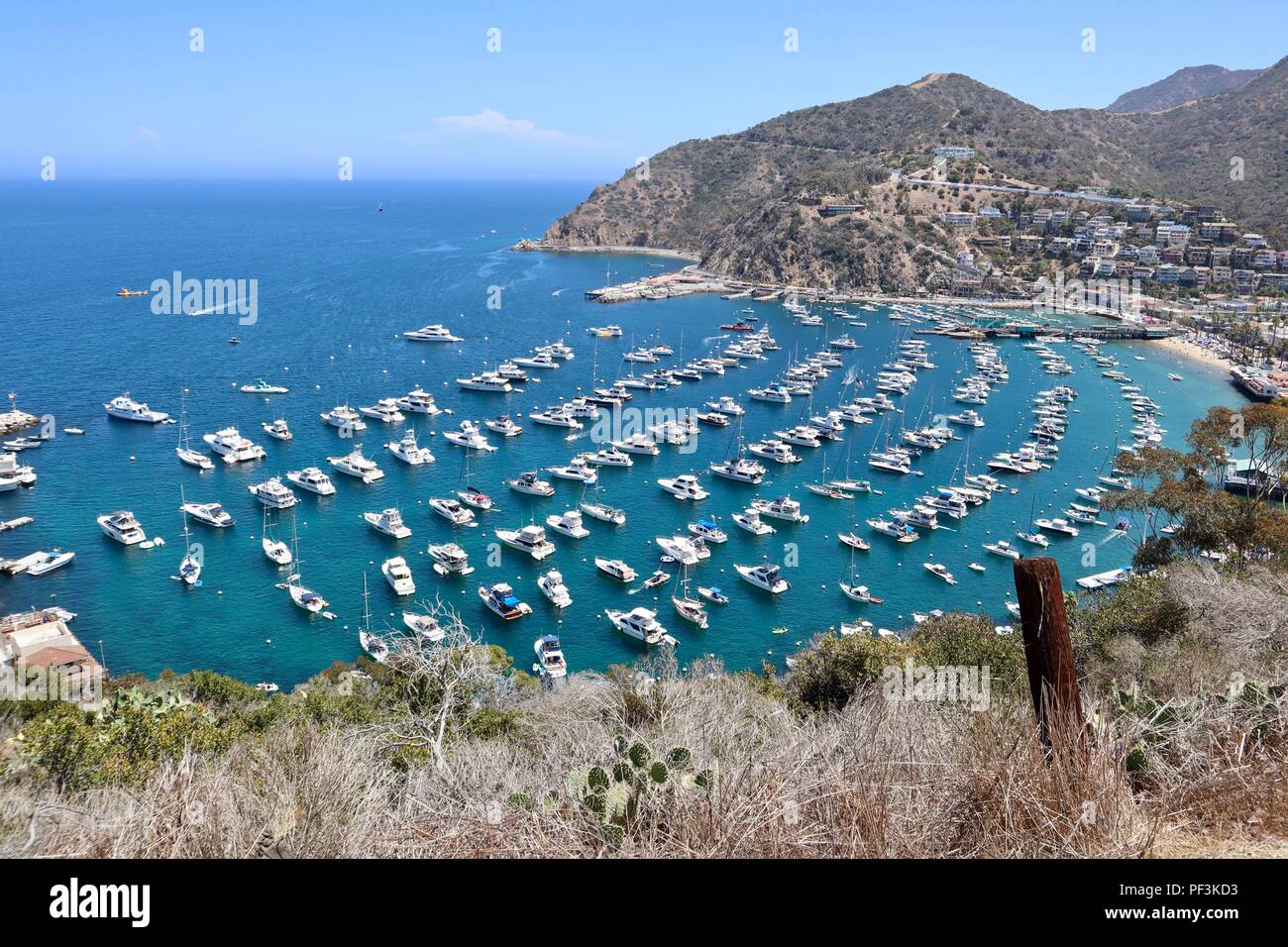 Boote in den Santa Catalina Island Harbour Stockfoto
