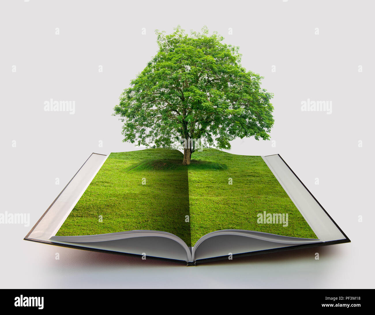 Buch der Natur auf Weiß Buch öffnen in Papier recycling Konzept 3D Rendering Buch der Natur mit Gras und Baum Wachstum in Weiß Blau bac isoliert Stockfoto