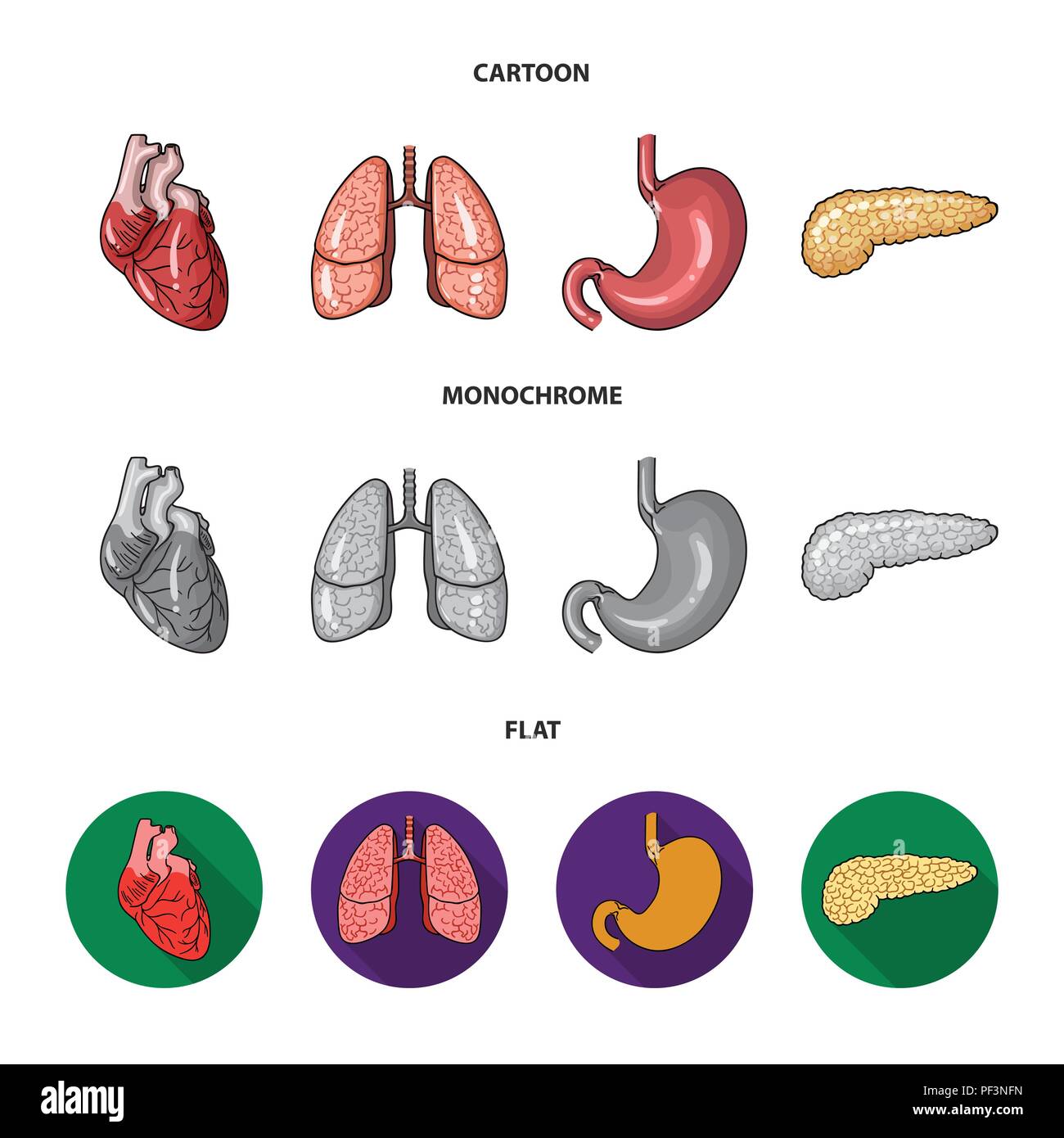Herz, Lunge, Magen, Bauchspeicheldrüse. Menschliche Organe set Sammlung Icons im Cartoon, flach, Schwarzweiß-Stil vektor Symbol lieferbar Abbildung. Stock Vektor