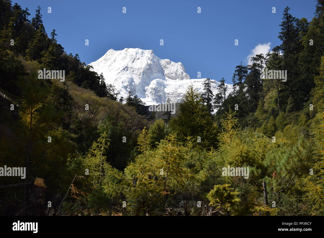 Trekking im Manaslu Circuit, Nepal Stockfoto