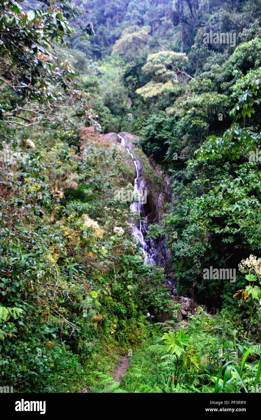 Wasserfall in LA ZUNGA - Ecuador Grenze - San Ignacio - Departement Cajamarca PERU Stockfoto