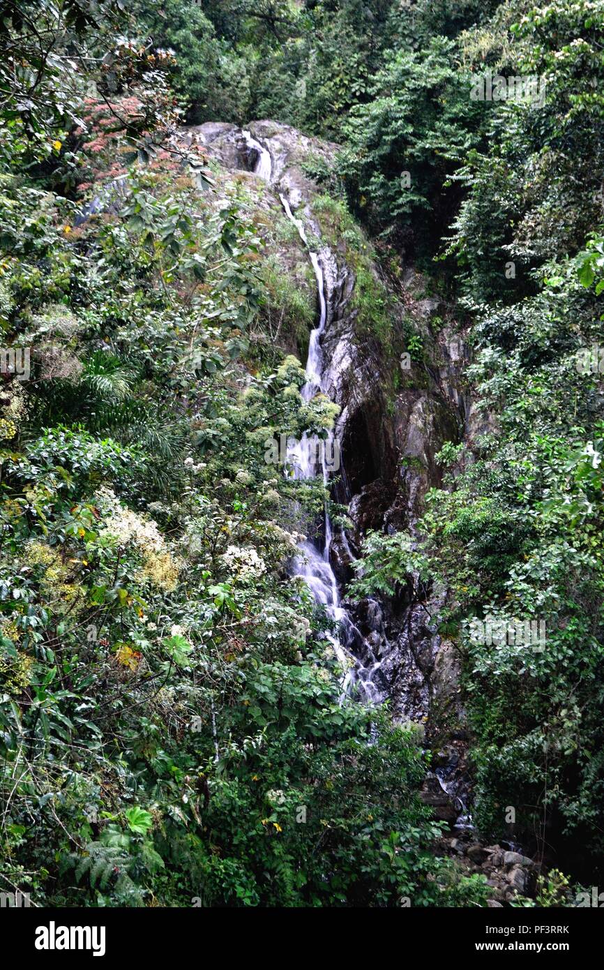 Wasserfall in LA ZUNGA - Ecuador Grenze - San Ignacio - Departement Cajamarca PERU Stockfoto