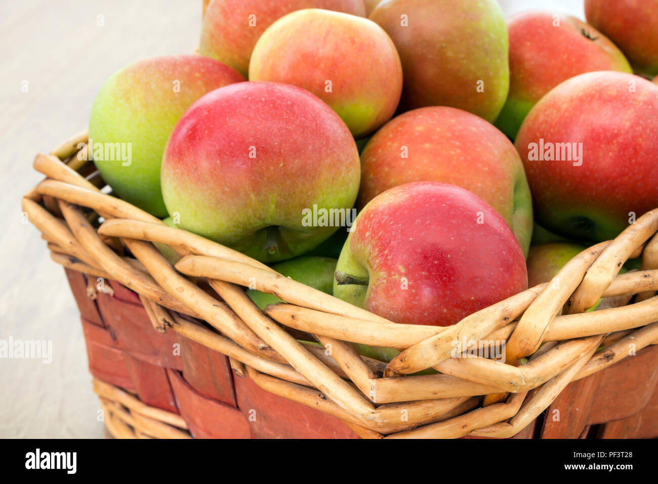 Eine frisch gepflückte Warenkorb der Entdeckung (Malus Domestica) Äpfel. Stockfoto