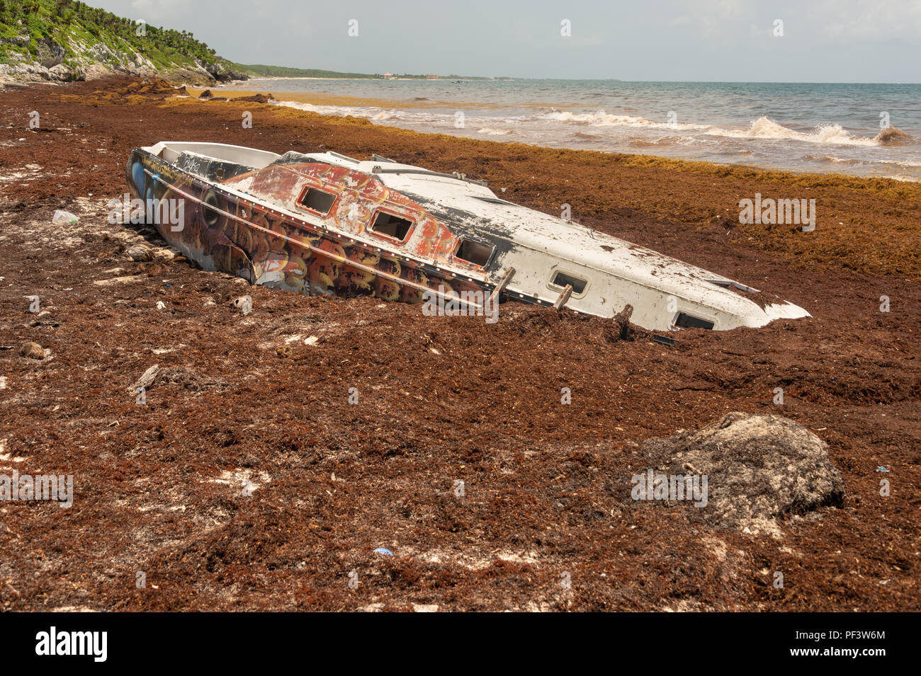 Gestrandete Boot umgeben von sargassum Algen am Playa Santa Fe in Tulum, Mexiko. Stockfoto
