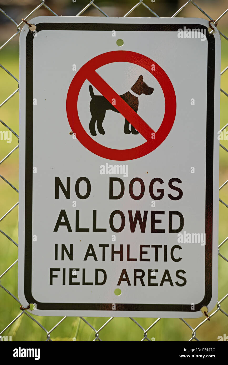 Keine Hunde im athletischen Bereich Bereichen erlaubt auf einem Maschendrahtzaun Zeichen Stockfoto