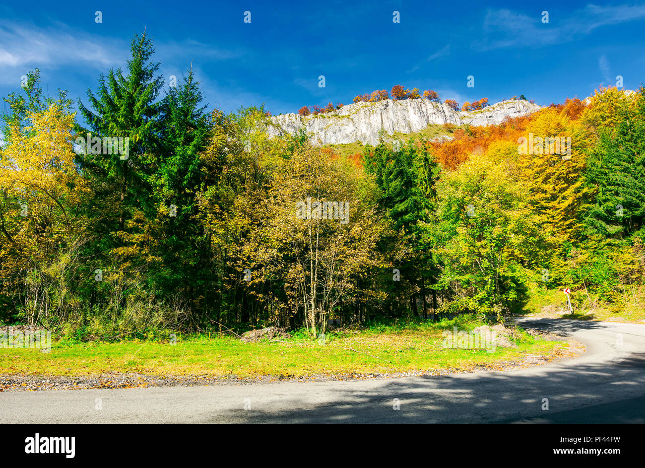 Straße obwohl Wald zum Berg. felsige Klippe hängen über dem Weg. schönen Herbst Landschaft Stockfoto