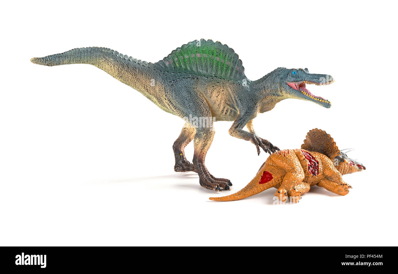Spinosaurus mit einem triceratops Körper in der Nähe auf weißem Hintergrund Stockfoto