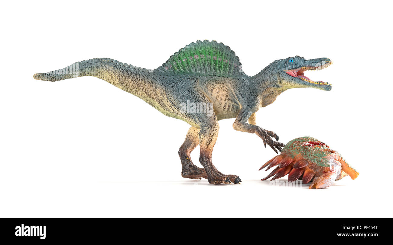 Spinosaurus mit einem stegosaurus Körper in der Nähe auf weißem Hintergrund Stockfoto