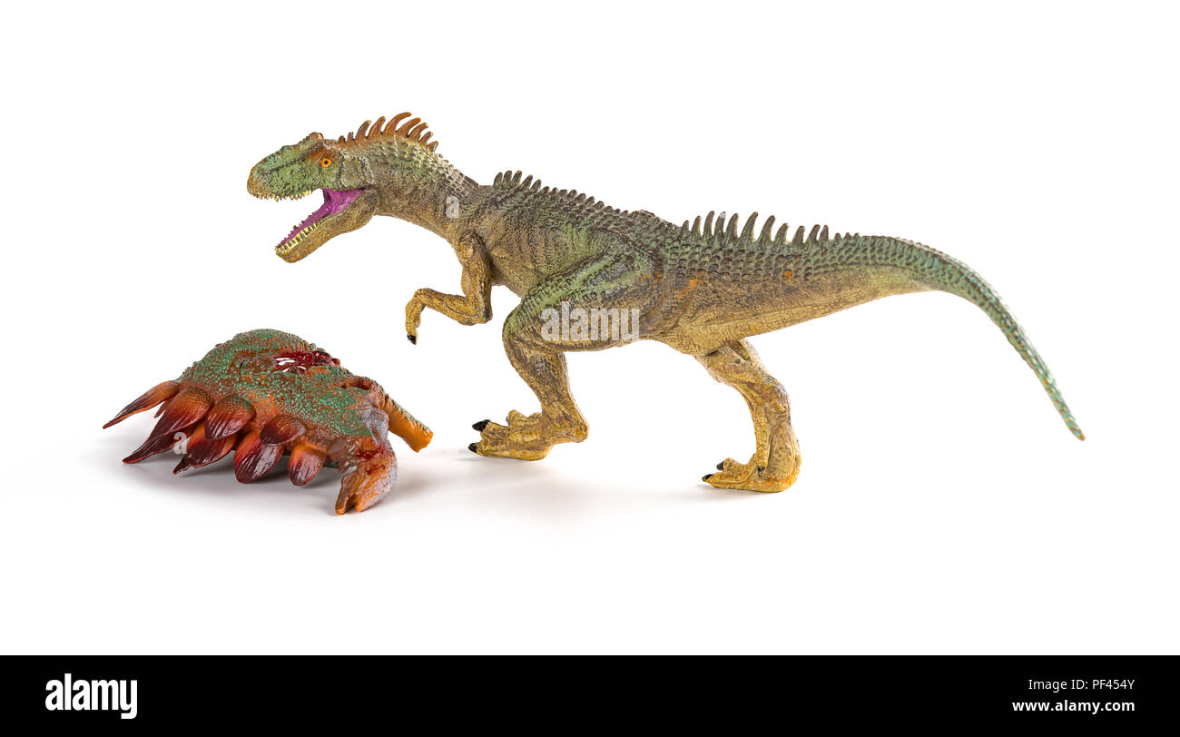 Allosaurus mit einem stegosaurus Körper in der Nähe auf weißem Hintergrund Stockfoto
