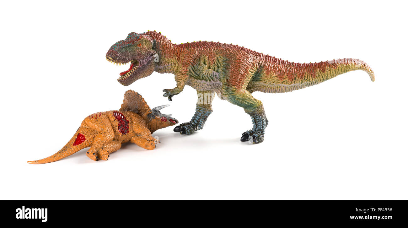 Mit einem tyrannosaurus Triceratops Körper in der Nähe auf weißem Hintergrund Stockfoto