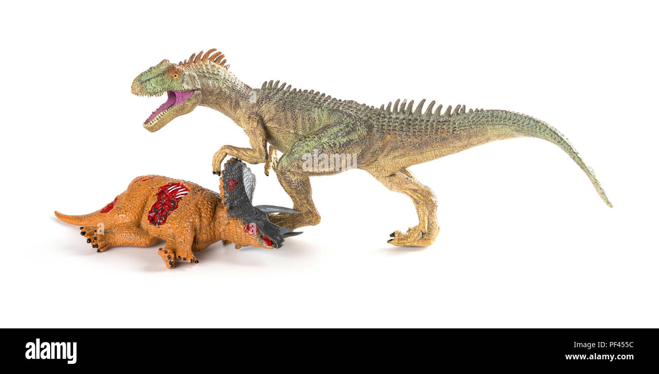 Allosaurus mit einem triceratops Körper in der Nähe auf weißem Hintergrund Stockfoto