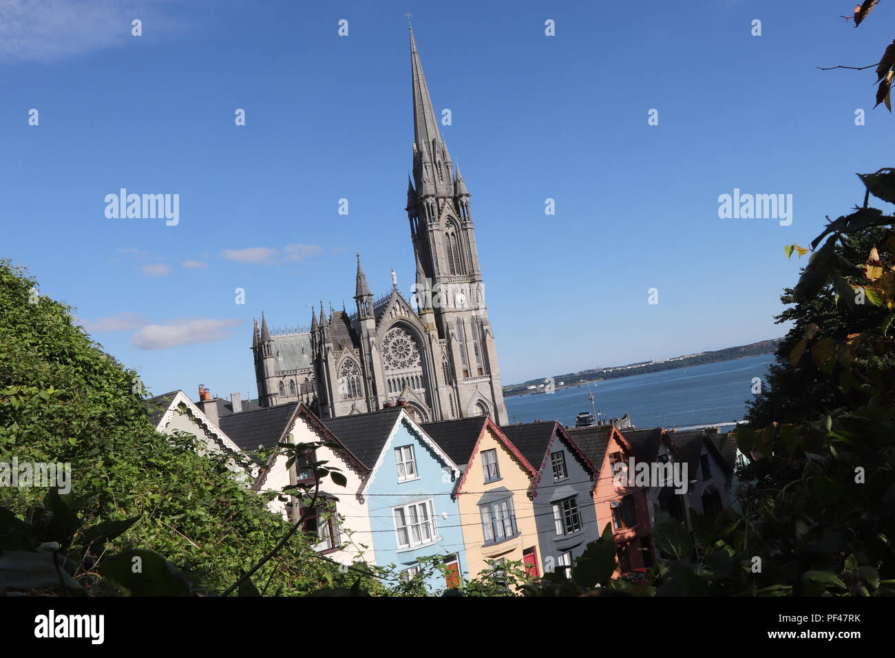 Cobh farbenfrohen Häuser und die prächtige Kathedrale und sieht aus, als es auf den Dächern der Häuser sitzt, genießen Sie die irischen Sommer Sonne. Stockfoto