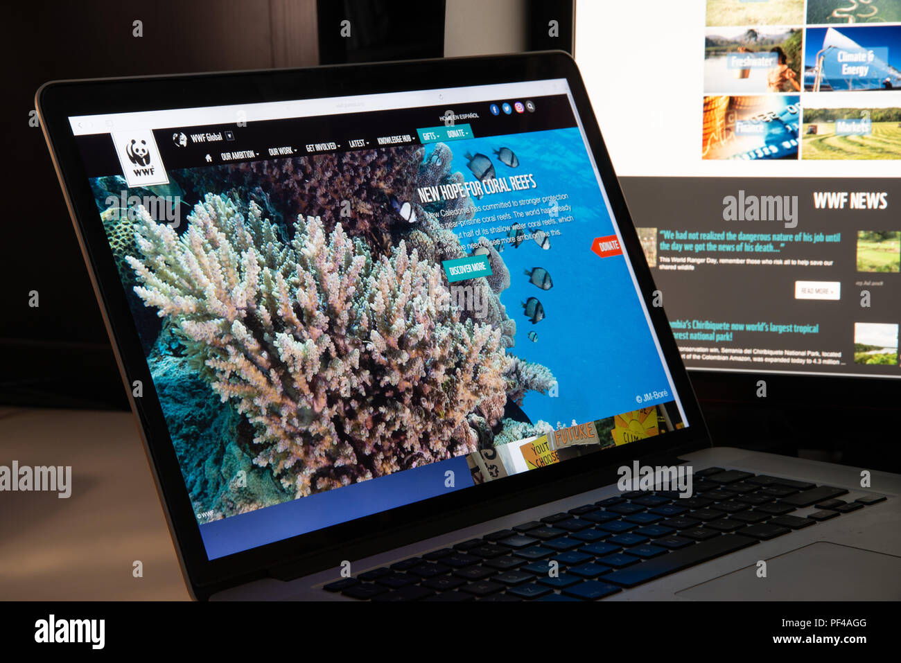 Mailand, Italien - 15 August, 2018: die WWF-NGO-Homepage. WWF Logo sichtbar. Stockfoto