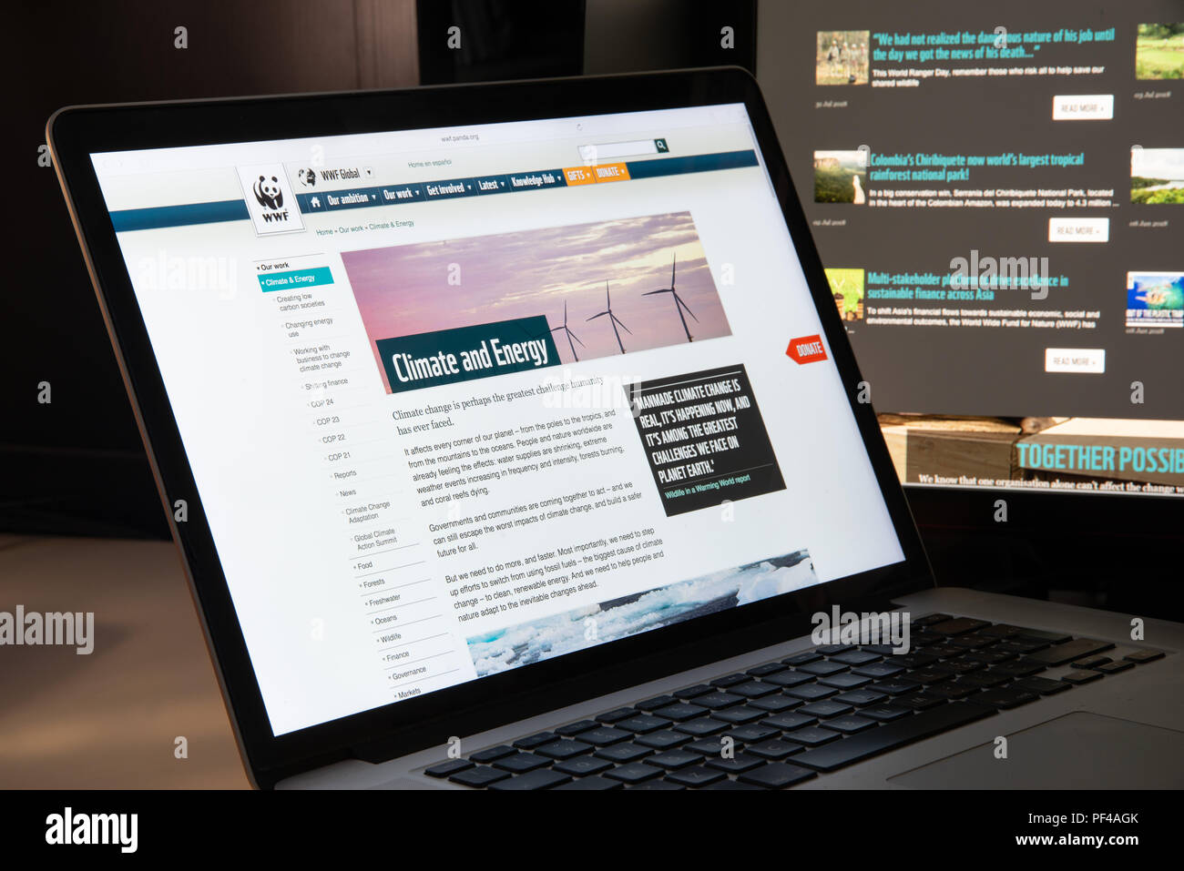 Mailand, Italien - 15 August, 2018: die WWF-NGO-Homepage. WWF Logo sichtbar. Stockfoto