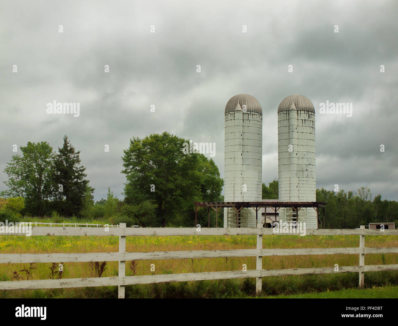 Country Szene mit Korn tower Silos und equine Zäune Stockfoto