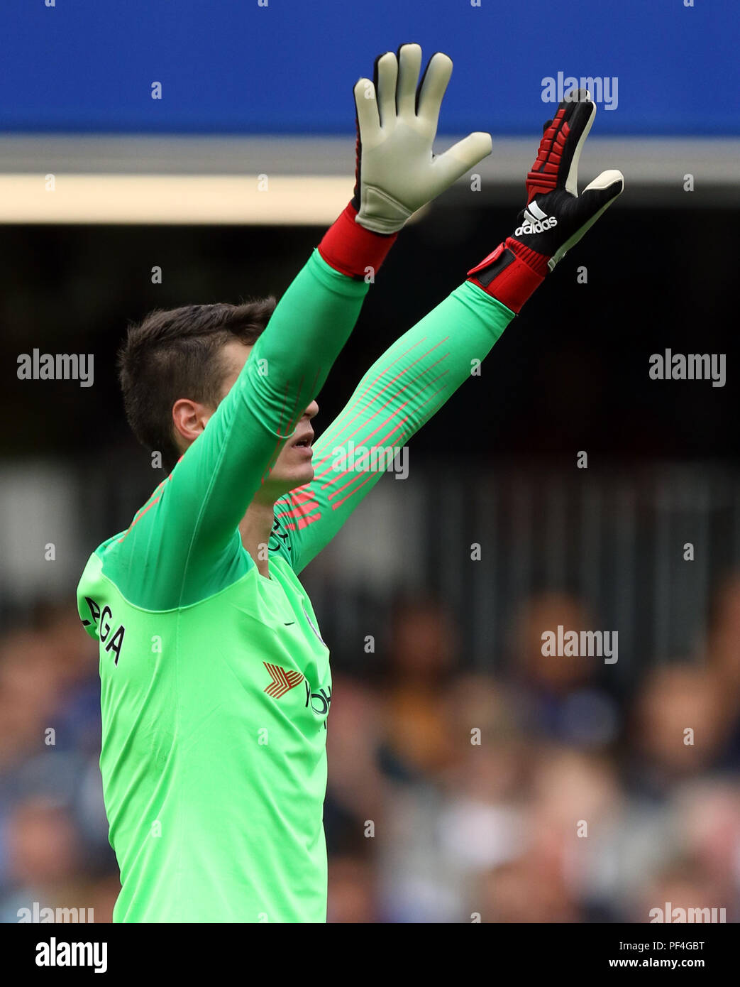 London, Großbritannien. 18 Aug, 2018. Kepa Arrizabalaga (C) an der Chelsea v Arsenal englische Premier League Spiel, an der Stamford Bridge, London, am 18. August 2018. ** Dieses BILD IST FÜR DIE REDAKTIONELLE VERWENDUNG ** Quelle: Paul Marriott/Alamy leben Nachrichten Stockfoto