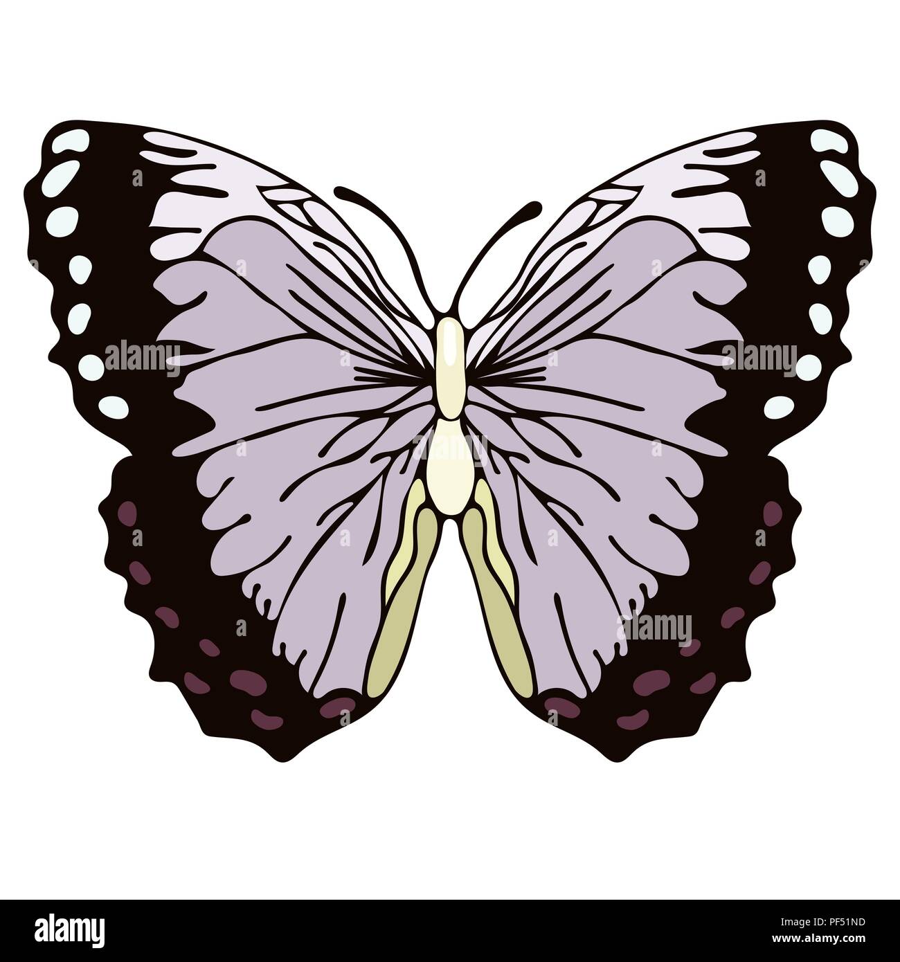 Schmetterling Cartoon zeichnen, Vector Illustration. Abstraktion