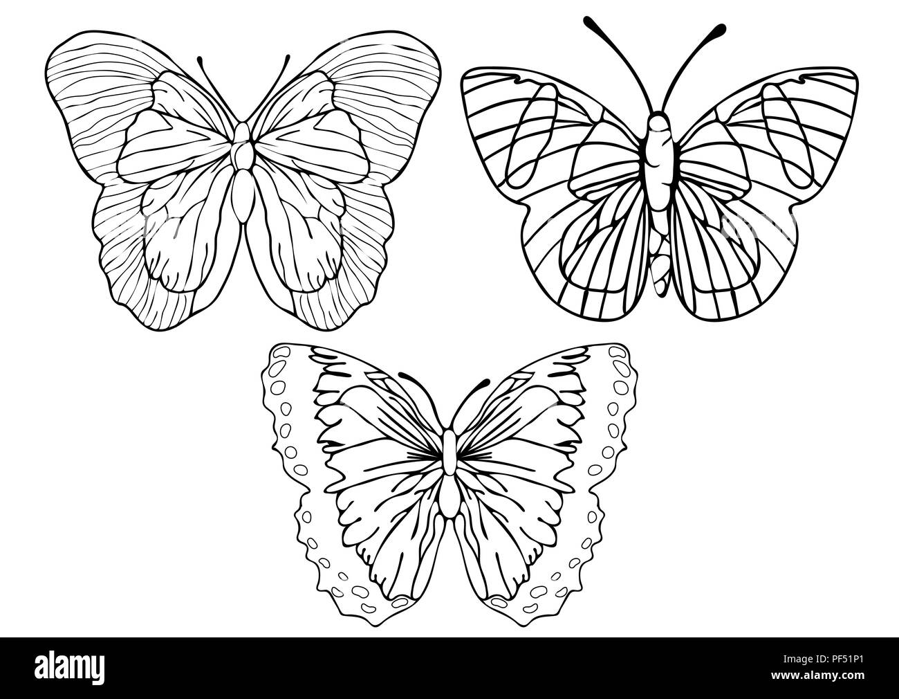 Schmetterlinge Grenzen gesetzt, Färben, lineare Zeichnung, Silhouette, Skizze, Kontur Vector schwarz und weiß Abbildung. Schmetterling Blick von oben isoliert Stock Vektor
