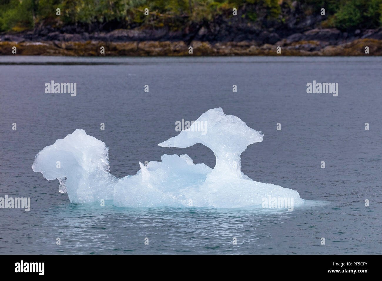 Eisberge von Columbia Gletscher im Prince William Sound auf der westlichen Alaska Chugach Mountains in der Nähe von Valdez, Alaska Stockfoto