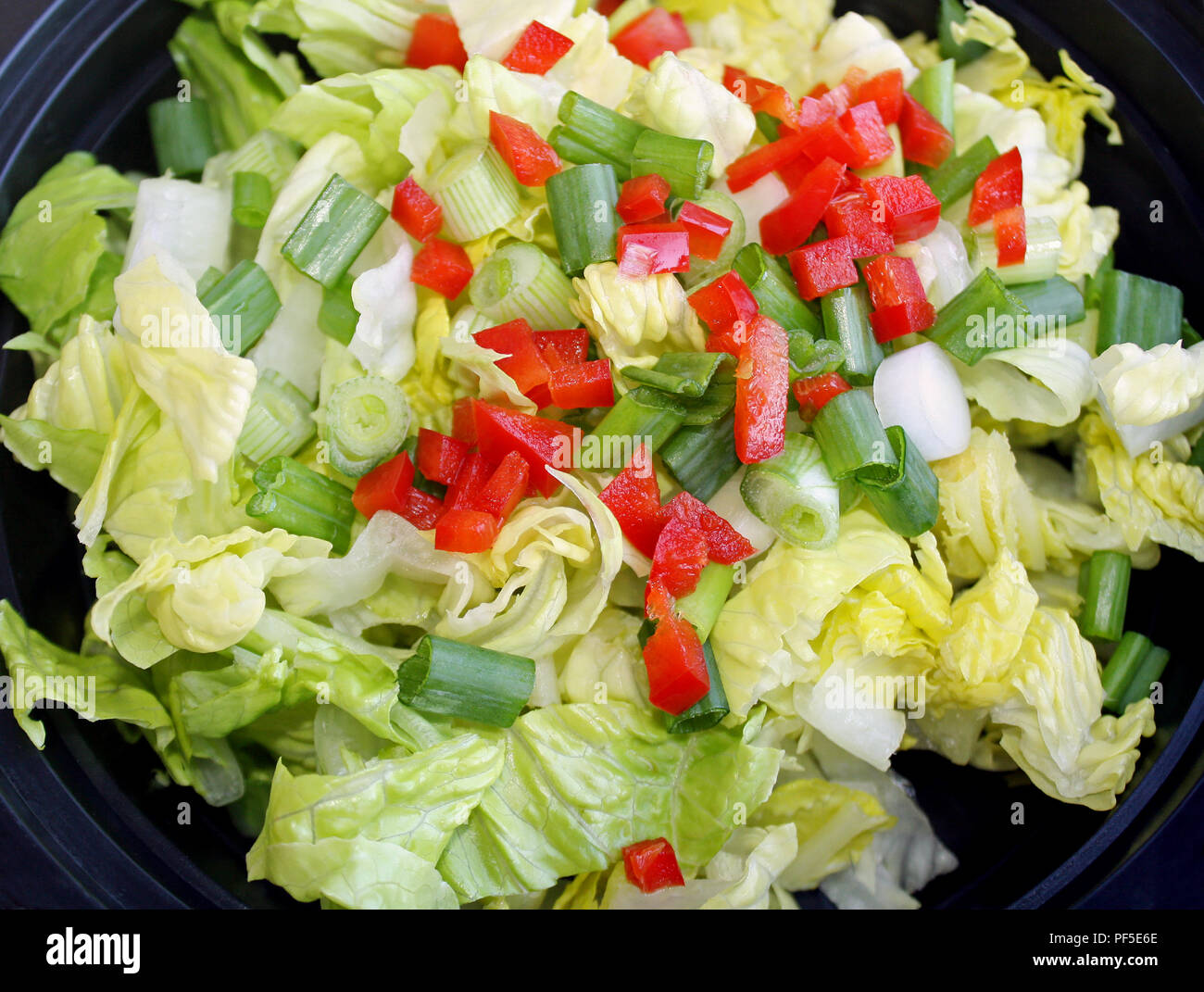 Frischen Gartensalat mit gewürfelten Paprika, grüne Zwiebeln und gehackten Römersalat Stockfoto