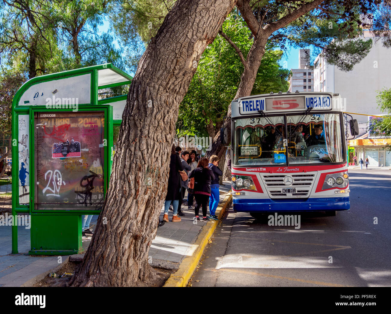 Bushaltestelle am Platz der Unabhängigkeit, Trelew, der Waliser Siedlung, Provinz Chubut, Patagonien, Argentinien Stockfoto