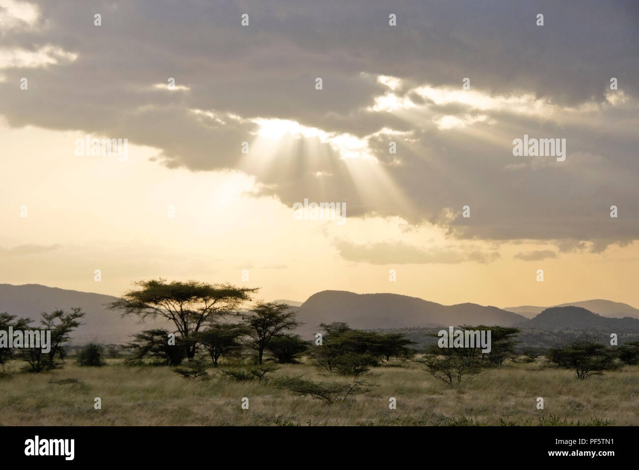 Sonnenstrahlen leuchten auf die Landschaft der Buffalo Springs und Samburu Game Reserves, Kenia Stockfoto