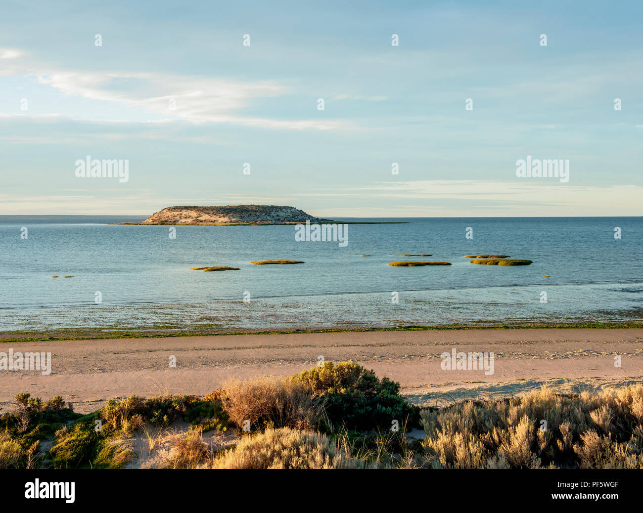 Isla de los Pajaros, die Halbinsel Valdes, UNESCO-Weltkulturerbe, Provinz Chubut, Patagonien, Argentinien Stockfoto