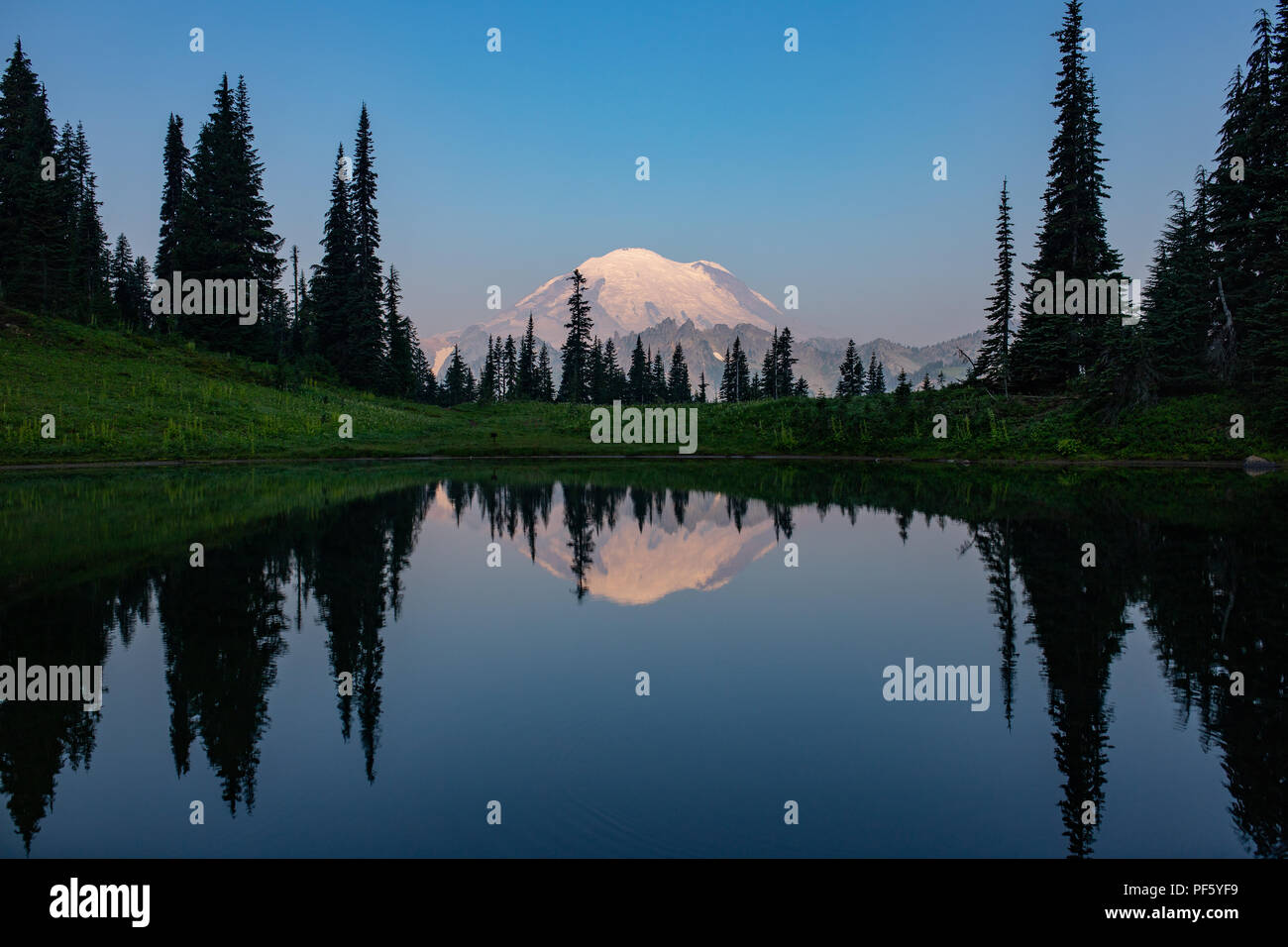 Das ist ein Bild von Relfection des Mount Rainier an Tipsoo Lake Washington. Stockfoto