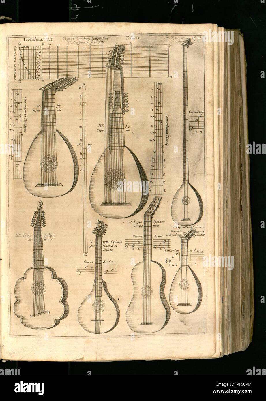 Athanasius Kircher - Zupfinstrumente aus Musurgia universalis. Stockfoto