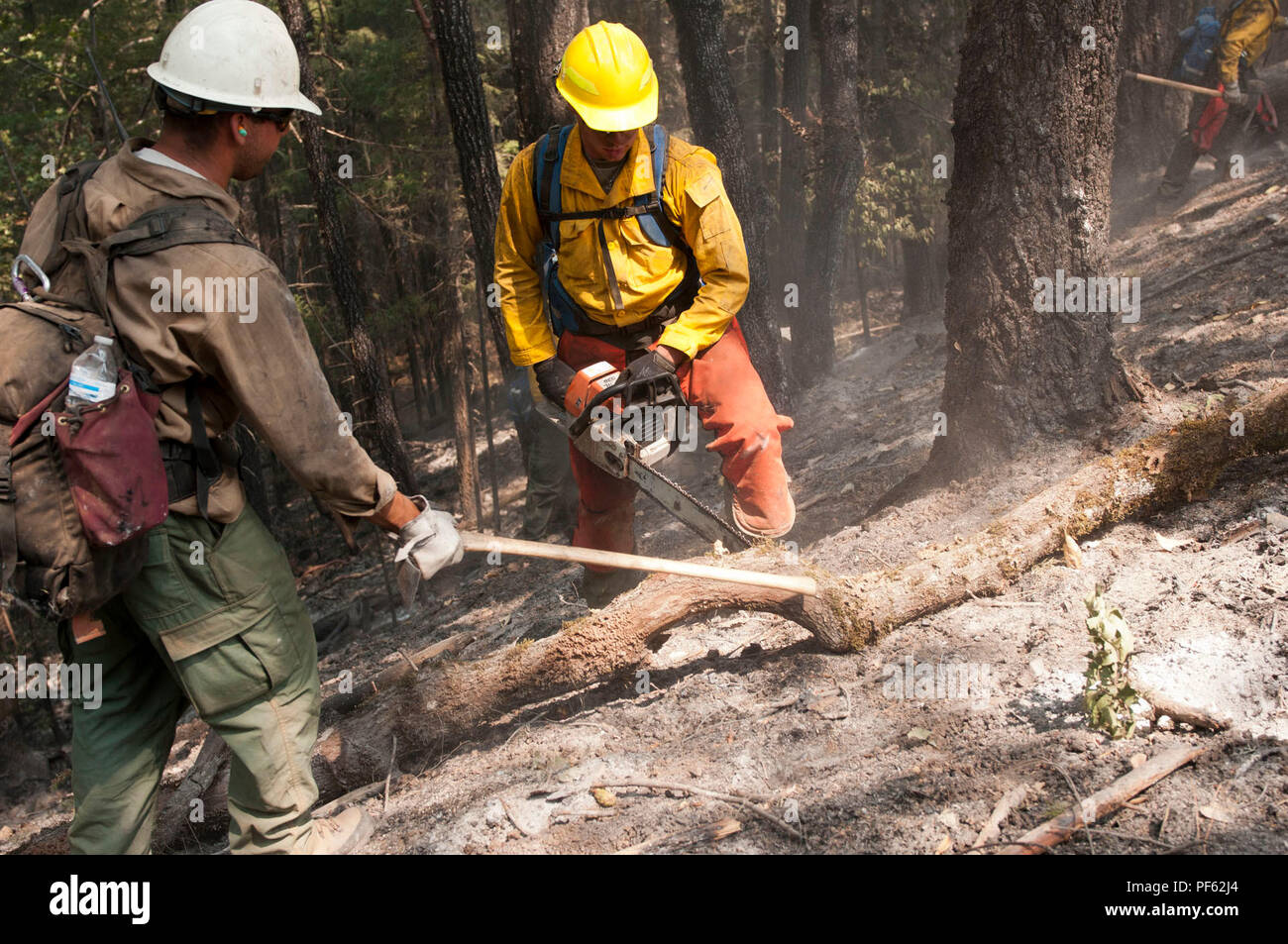 Cascade Mountains Smoke Jumper Scott McClanahan leitet Task Force Robustes Soldat SPC. Zachery Junge, 14 Brigade Ingenieur Bataillon am Joint Base Lewis-McChord, Washington, wo ein Schnitt auf einen umgestürzten Baum zu machen, August 14, 2018, in Mendocino National Forest, Kalifornien. Junge, der Teil einer kombinierten Feuer Crew betreut von zwei professionellen Feuerwehrmann Mannschaft Bosse, reiste südlich von JBLM mit mehr als 200 anderen aktiven - Aufgabe Soldaten mit der Mendocino komplexe Brand, Brandbekämpfung zu unterstützen. (U.S. Armee Foto von Sgt. Uria, Walker, 5 Mobile Public Affairs Abteilung) Stockfoto