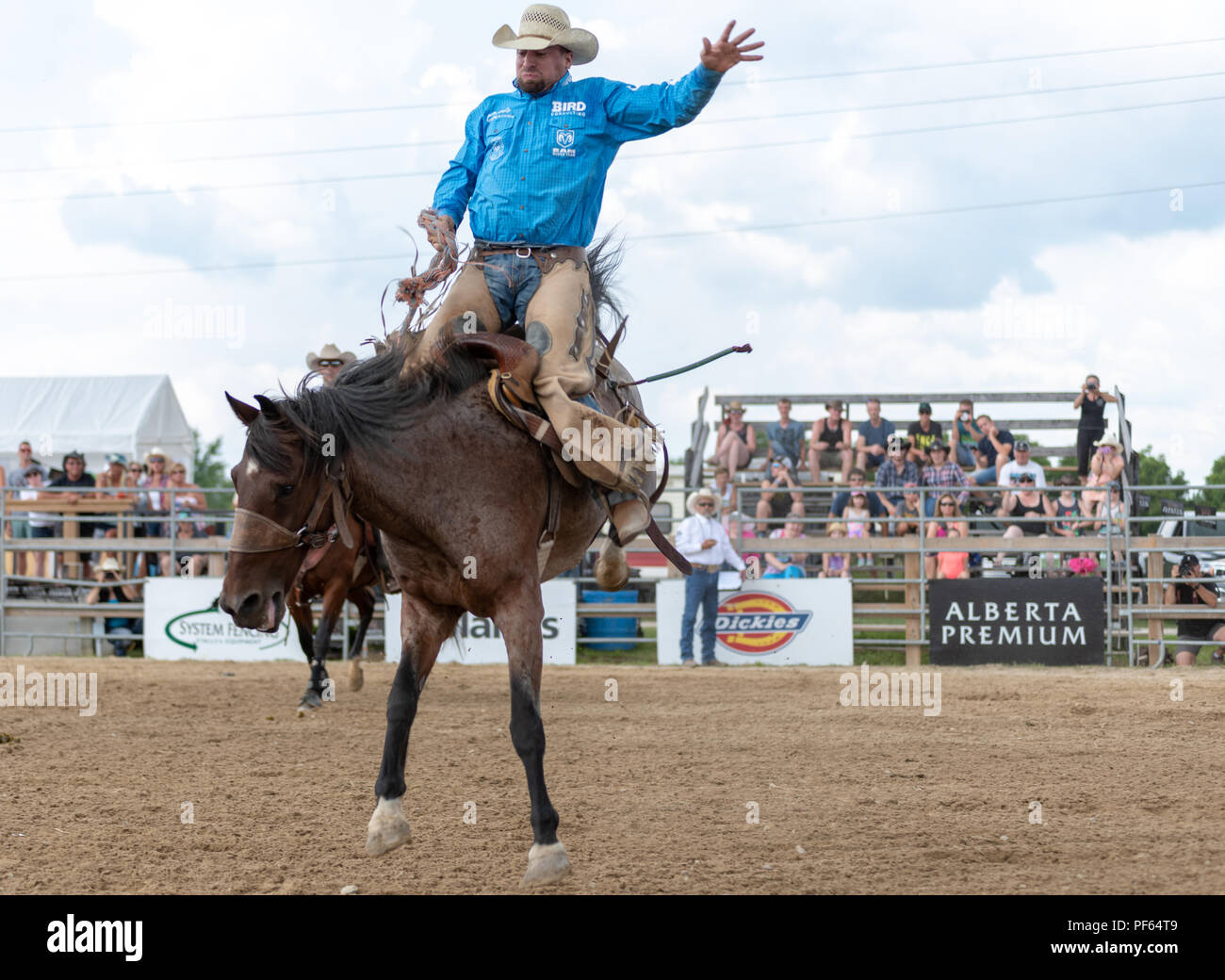 Rodeo Aufregung kommt zum südwestlichen Ontario am Exeter Messegelände Stockfotografie Alamy