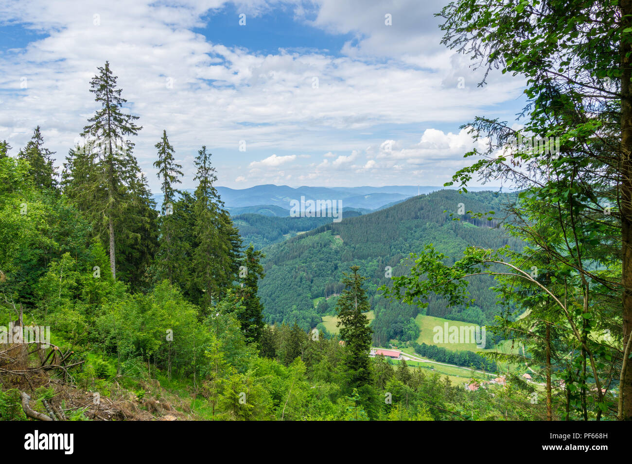 Deutschland, natürliche Landschaft des Schwarzwaldes auf Mountain Top Stockfoto