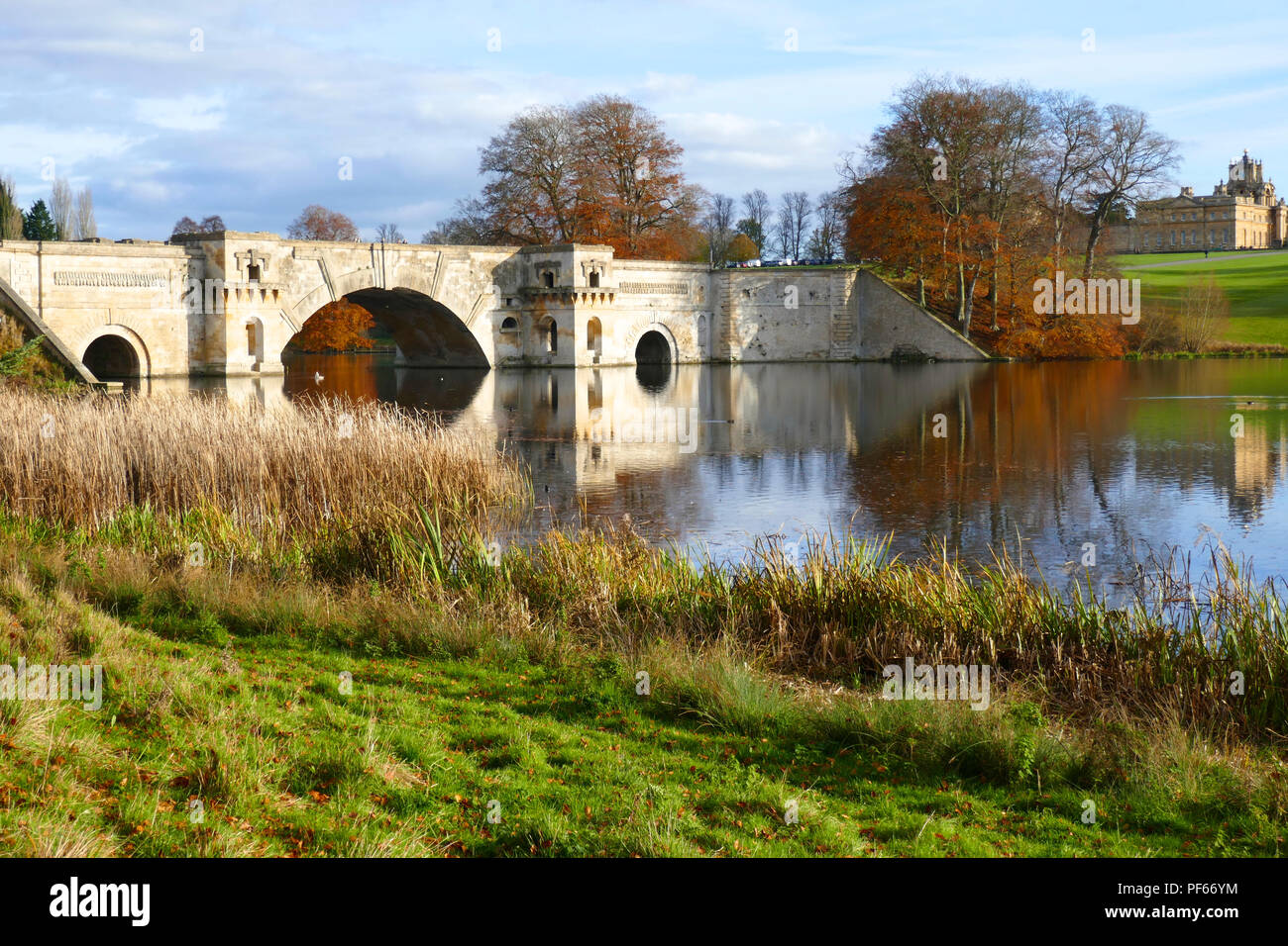 Herbst auf dem Gelände von Blenheim Palace, Großbritannien Stockfoto