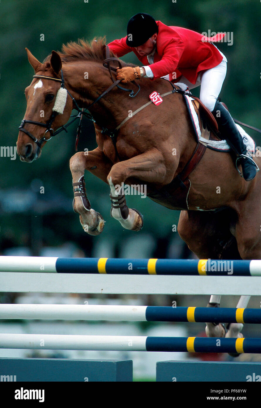 CSI Monterrey, Oktober 1996, John Pearce (CAN) Reiten Vagabond Stockfoto