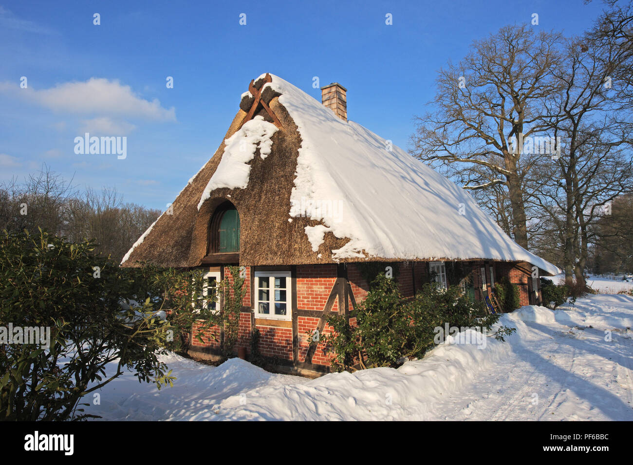 Naturpark Lüneburger Heide, Winter, Bauernhaus in Wilsede, Gemeinde Bispingen, Landkreis Diepholz, Niedersachsen, Deutschland | Naturschutzgebiet Stockfoto