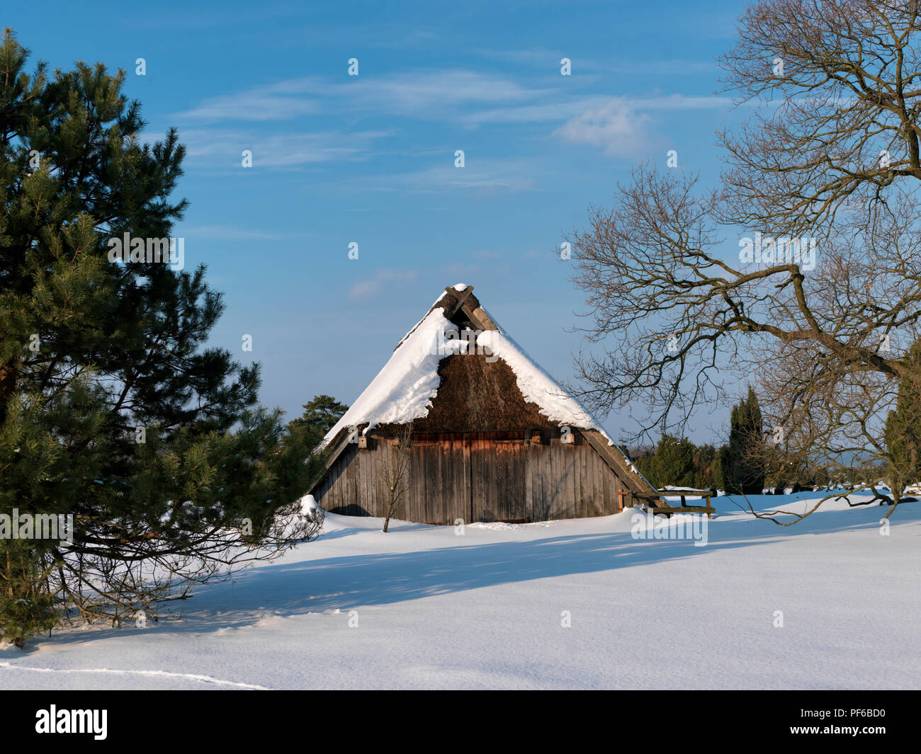 Naturpark Lüneburger Heide, Winter, Schafstall bei Wilsede, Gemeinde Bispingen, Landkreis Diepholz, Niedersachsen, Deutschland | Natur re Stockfoto