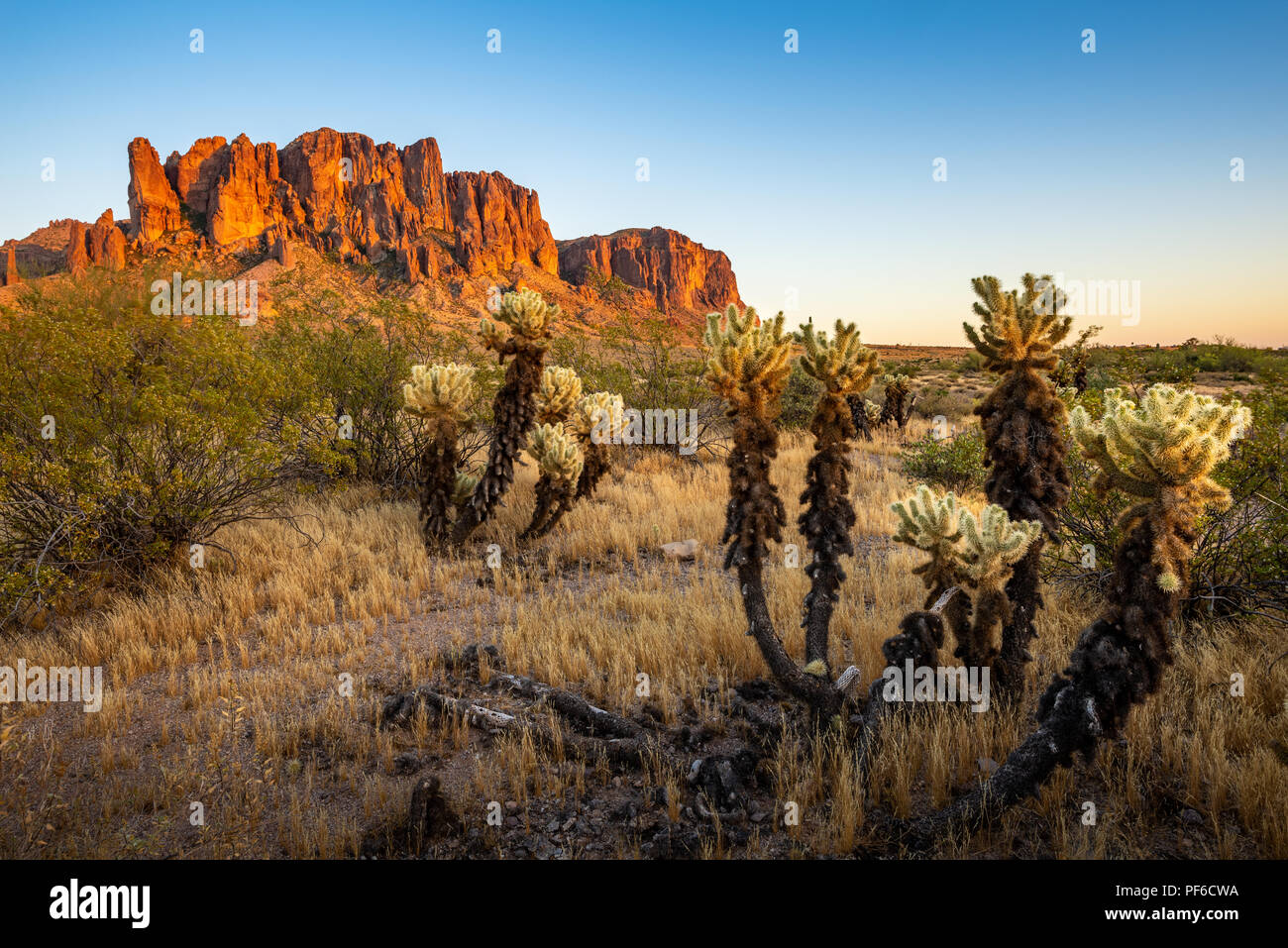 Lost Dutchman State Park ist ein 320 ha (129 ha) State Park in der Nähe von den Superstition Mountains in Arizona, USA, benannt nach dem D verloren Stockfoto