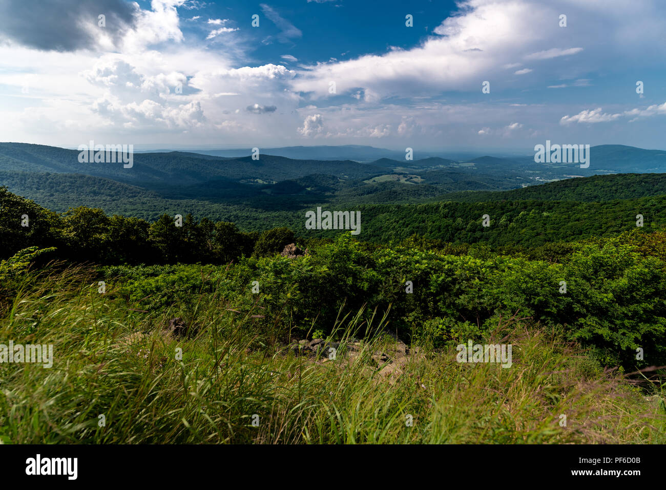 Eine Ansicht eines Appalachian und Allegheny Mountains aus hören die Virginia West Virginia Grenze in der Nähe von Sunset Stockfoto