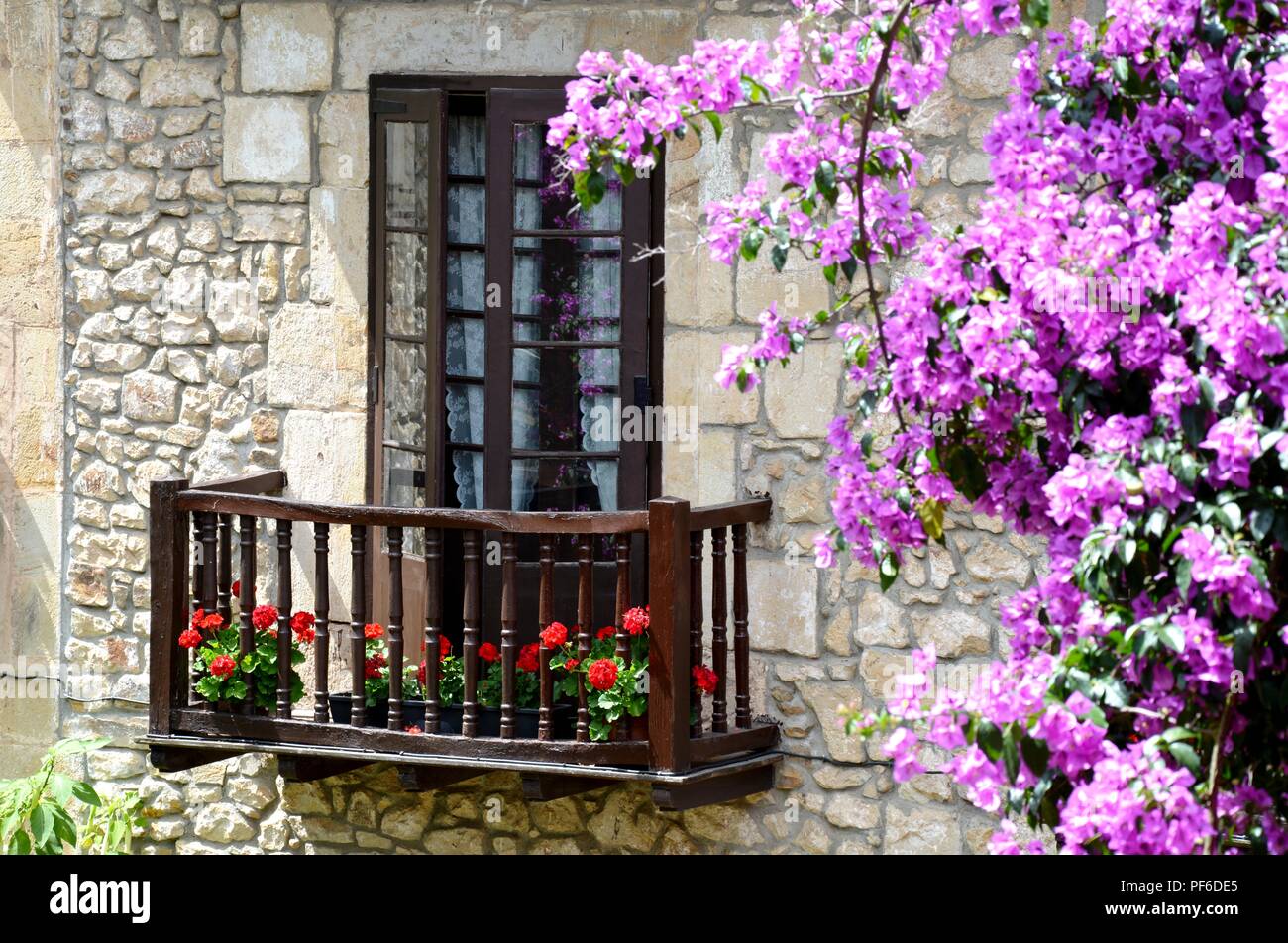 Balkon mit Blumen, Blume, Blumen, Pflanzen, Pflanzen Stockfoto